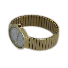 Spring Band Quartz Movement Watch for Ladies